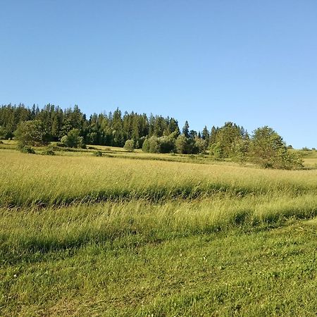 Villa Cicho Sza Czarna Góra Eksteriør billede